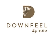 DownFeel